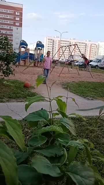 VID_20250606_183315.mp4