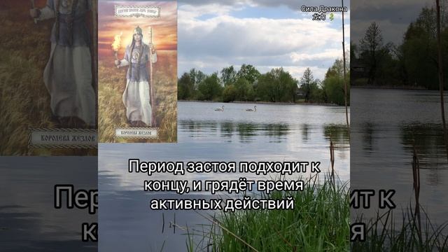 💫Послание для Вас от Духов места Силы 🕊