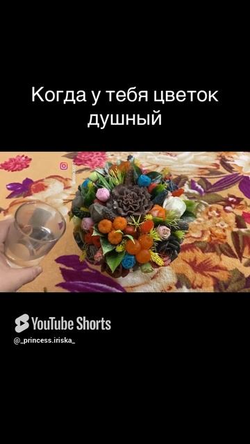 #прикол# когда у тебя цветок душный # придирается 🤪.mp4