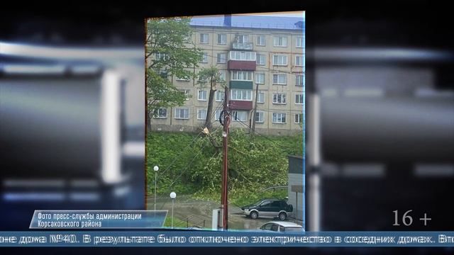 05.06.2025 Дерево упало на провода в Корсакове