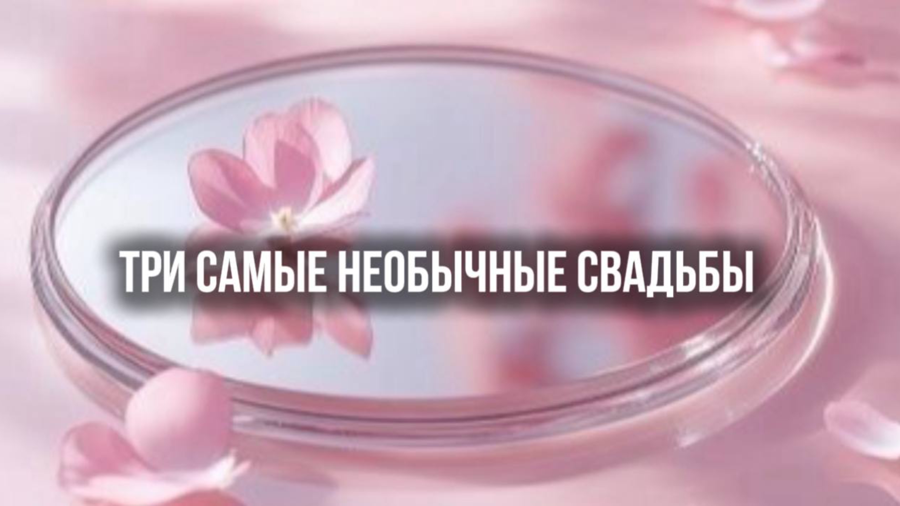 Три самых необычных свадьбы