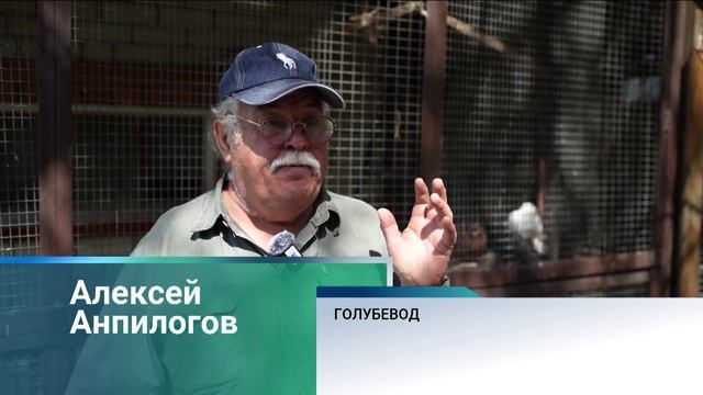 Новости Алтайского края 8 июня 2025 года, выпуск в 6:50