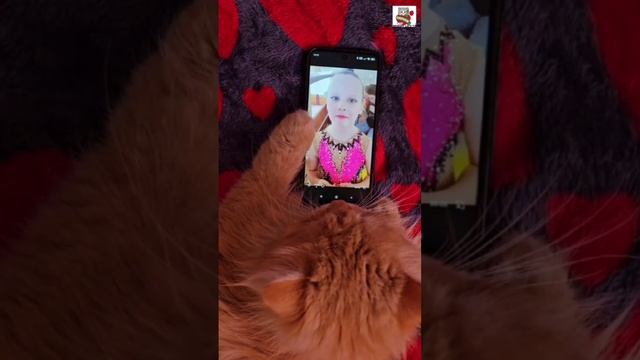 Пикселюша от всех ребят поздравляет свою Любимую Подружку Маришу с ДР 🌞🎂💐❤️🦁