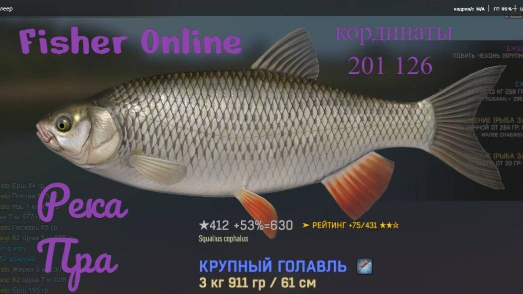 Fisher Online река Пра крупный голавль