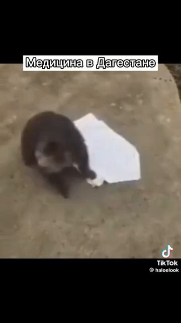 1000014017.mp4