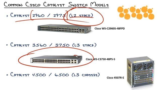 CCNA_03. Understanding Common Switch Models