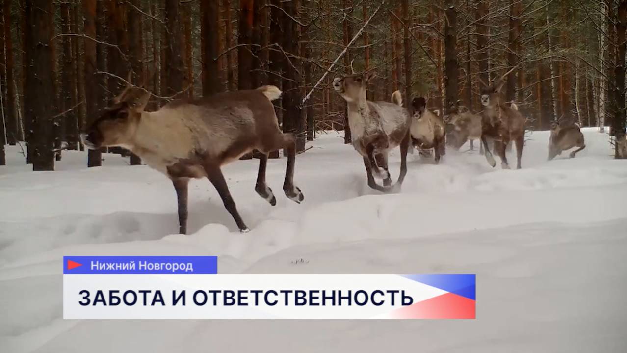 Экологи, сотрудники предприятий собрались в Зелёном городе на сессию по экологии