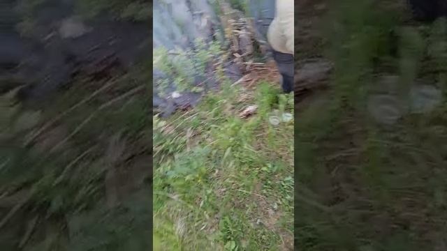 VID-20250605-WA0018.mp4