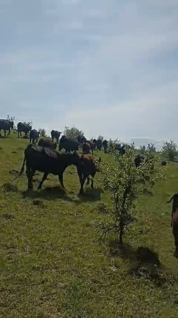 Фермерские секреты