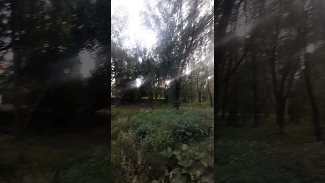 Как же хорошо,когда птички чирикают,поют 👍