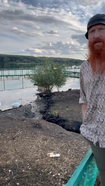 Утино-гусиное братство