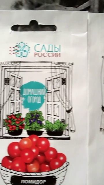 Балконные томаты #семена