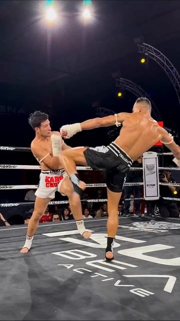 Лучшие нокауты Подпишись и ставь лайк #ufc #mma #youtube #sports #tiktok #shortsvideo #russia #box