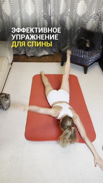 Попробуй 😉