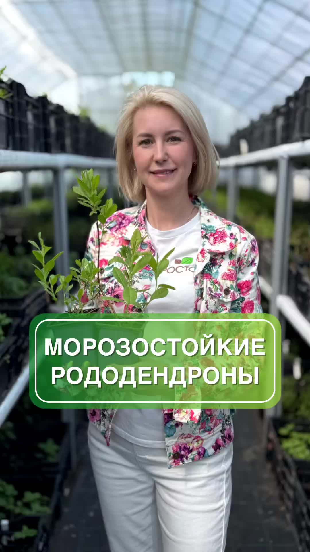 Экзотика для вашего сада: морозостойкие рододендроны 😍