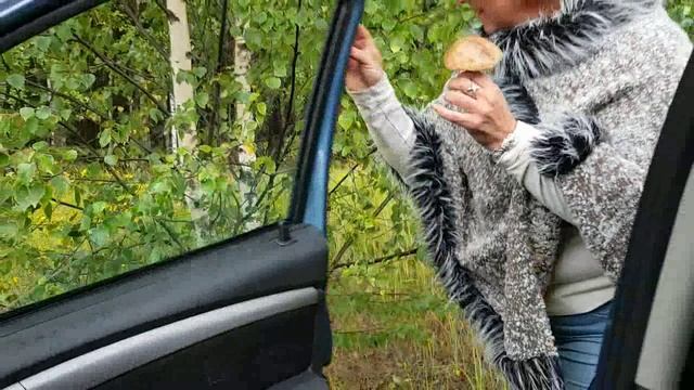 053_Ютуб_Сбор грибов в лесах Мещерского края