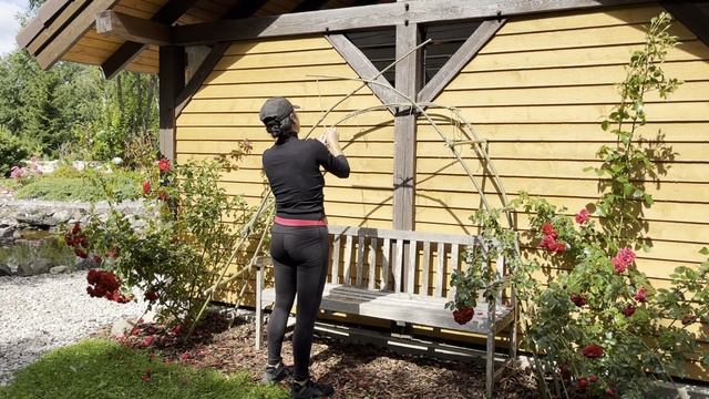Делаю опоры для плетистых растений из подручных природных материалов. Идеи для сада