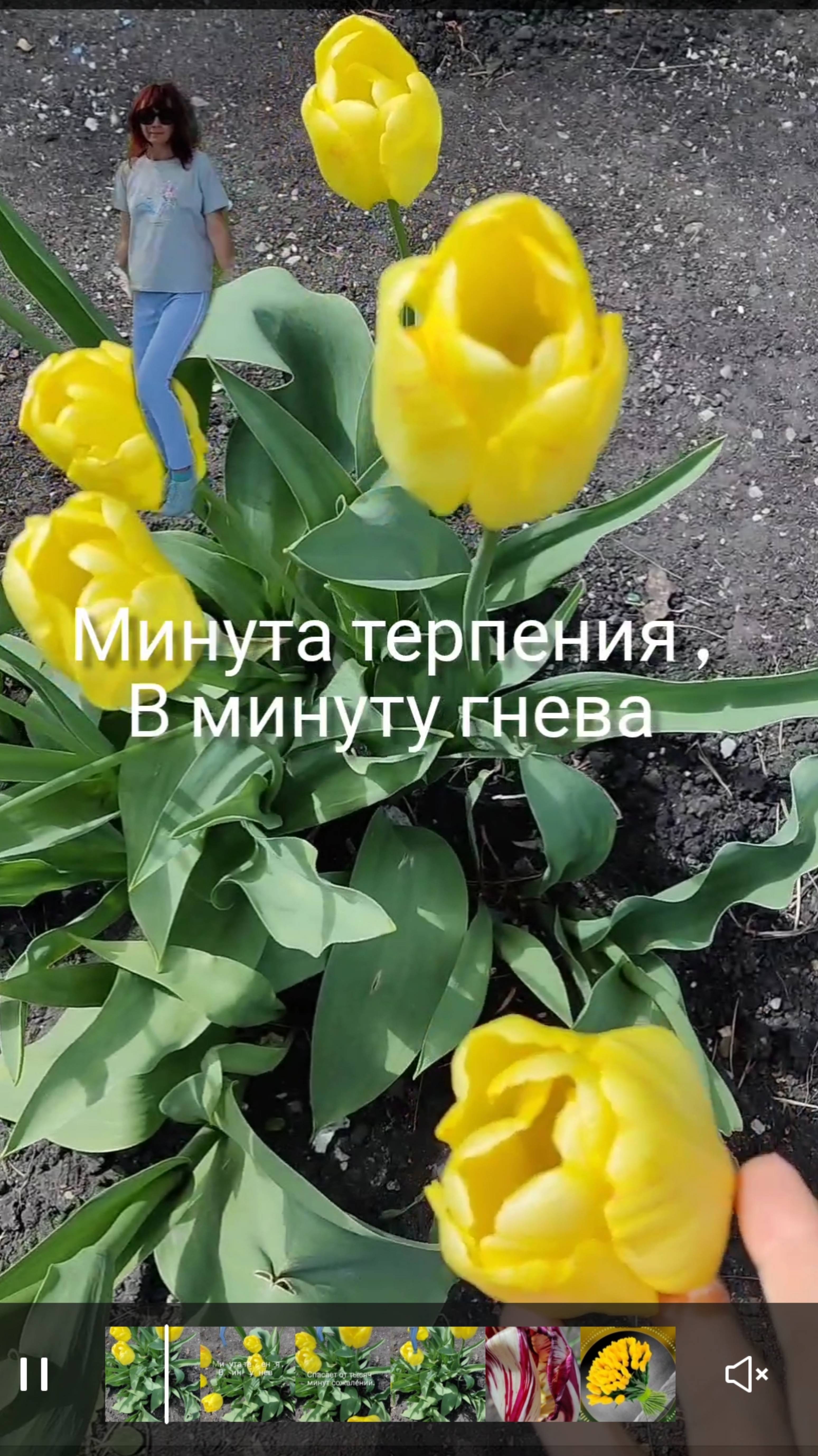 Абсолютно верно 👌