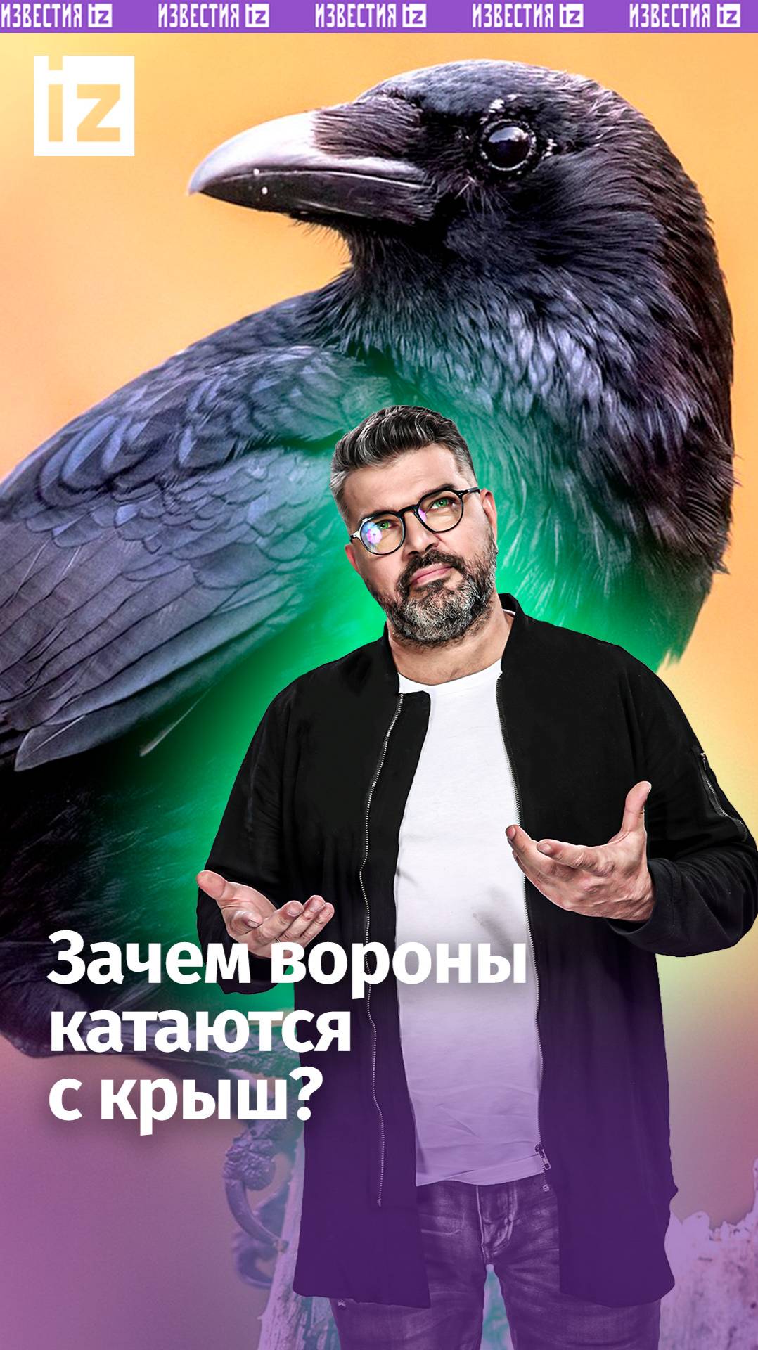 Раскроем секрет ворон: зачем пернатые катаются с крыш / «Знаете ли вы, что…»