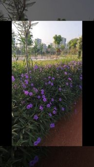 Парк в Мерсине.mp4