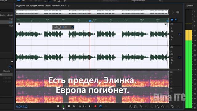 "Есть предел, Элинка. Европа погибнет."