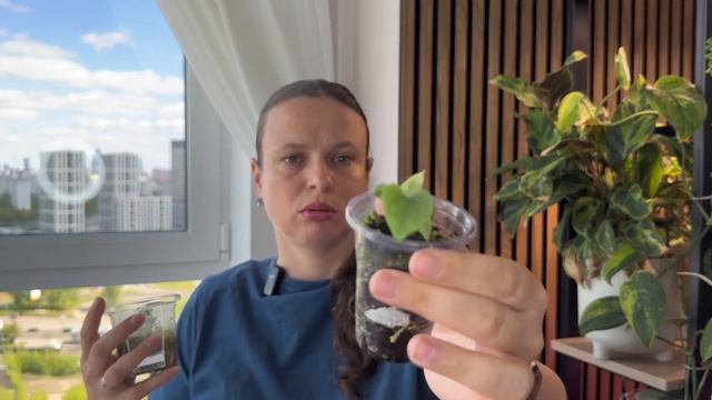 Ценообразование и готовность к покупке ДОРОГОГО РАСТ?