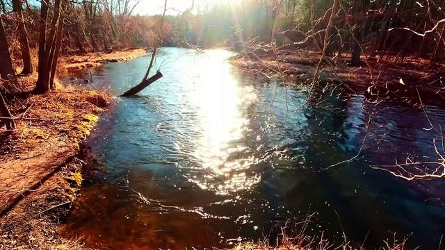 Окружающая природа. Заходящее солнце на берегу реки. Видео для релакса.
