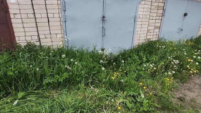 Гараж зарос - исправляем