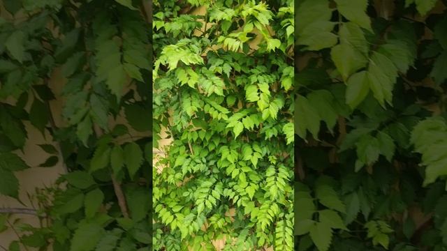 Как защитить пенополистирол от УФ лучей палящего Кубанского солнца