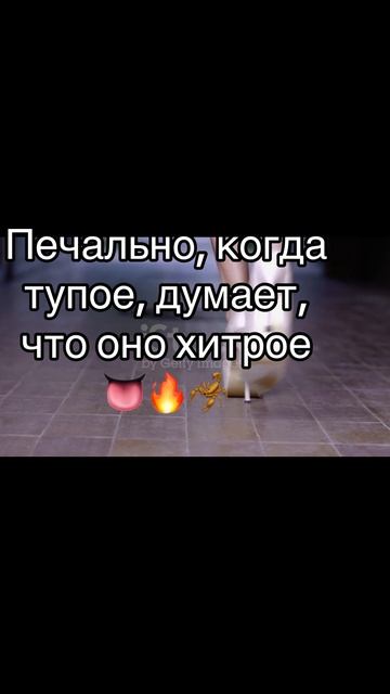 Со смыслом
