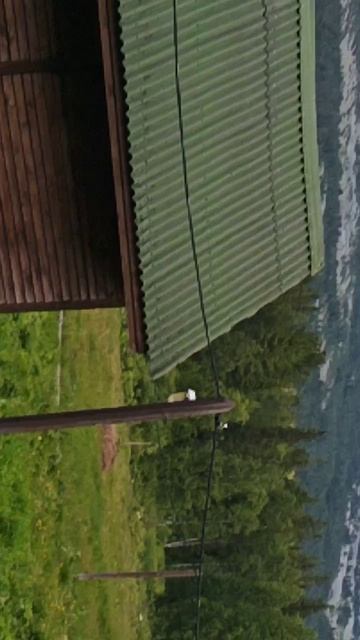 VID_20230627_110612.mp4