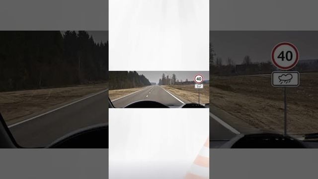 Разбор билетов ГИБДД