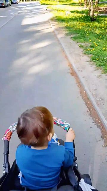 по дороге в сад