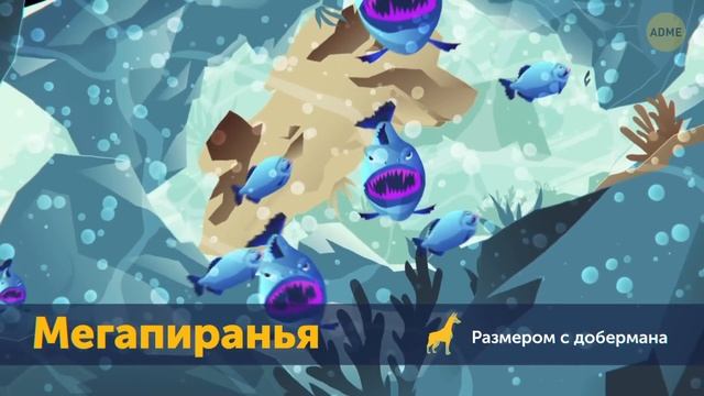 Существует ли еще мегалодон и другие тайны глубин океана