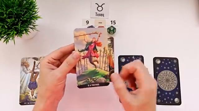 ТЕЛЕЦ ♉ 9-15 июня 2025 таро гороскоп на неделю⧸ прогноз