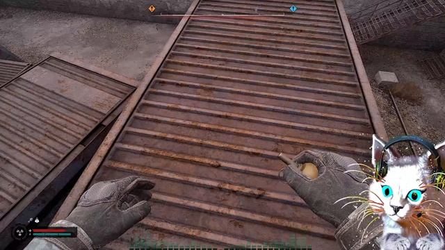 S.K.A.L.K.E.R.2.0.2.4. ►🐈🐈 РИХТЕР РОСТОК БУДУЩЕЕ 🤪 ;) СТАЛКЕР