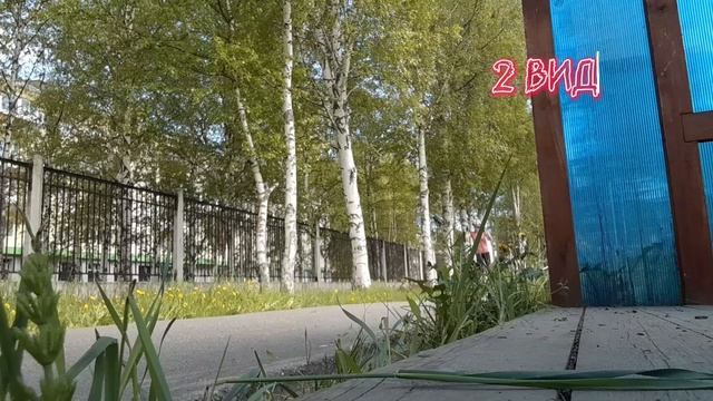 едем на лыже-роллерах