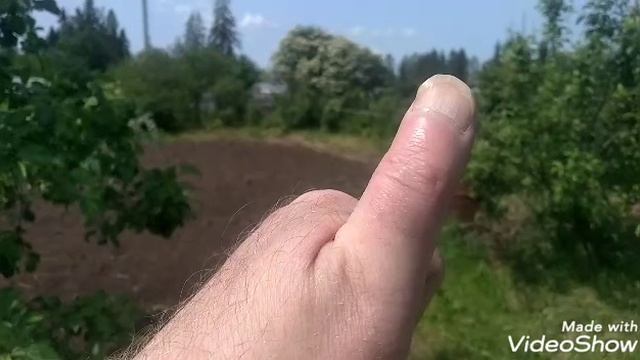 В огород ходил с травой боролся
