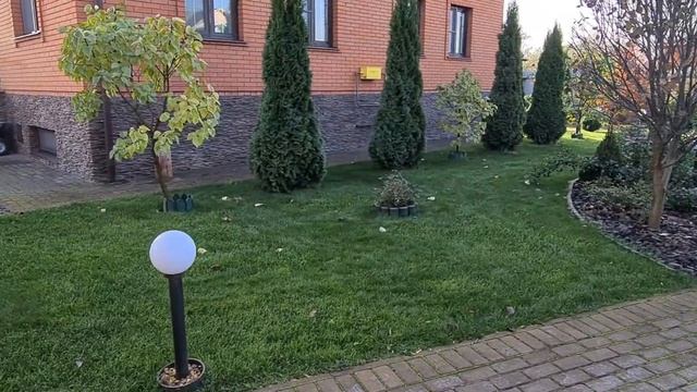 Ремонт газона. Газон на даче