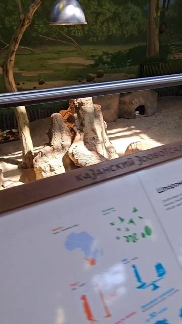 Казанский зоопарк 🐒