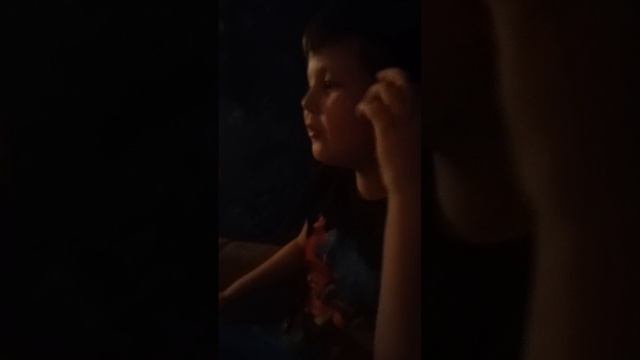 бабка и хаски