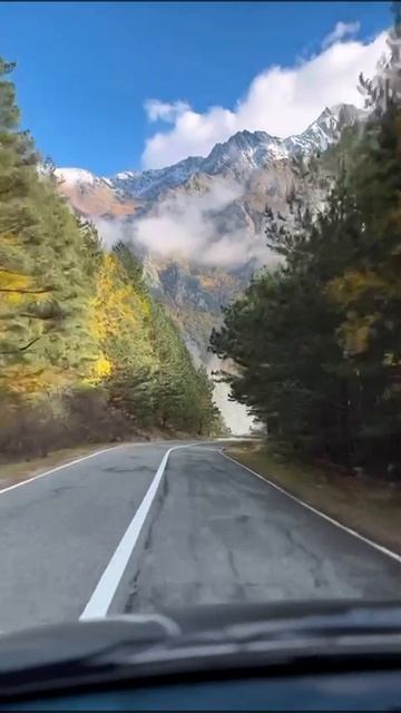 Дорога в мир ✌️