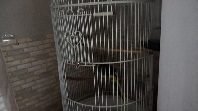 VID_20250605_234322.mp4