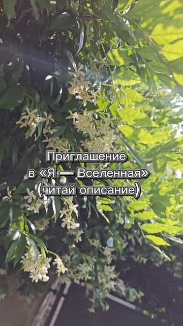 Приглашение в «Я — Вселенная»