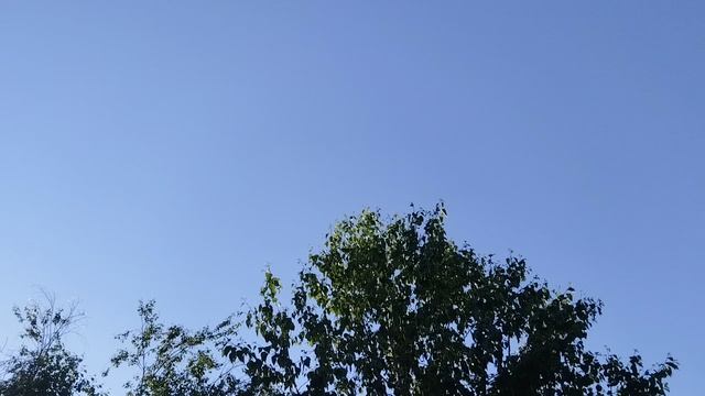 VID_20250606_071503.mp4