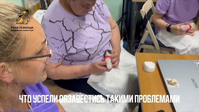 Новорожденных котят выкинули в коробке. Поддержать⬇️