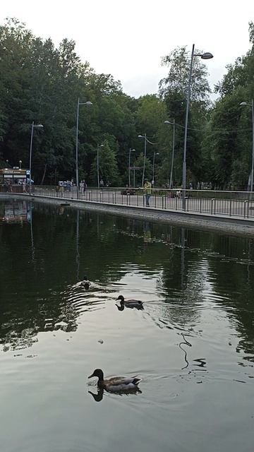 Воронеж, парк Динамо в пятницу вечером