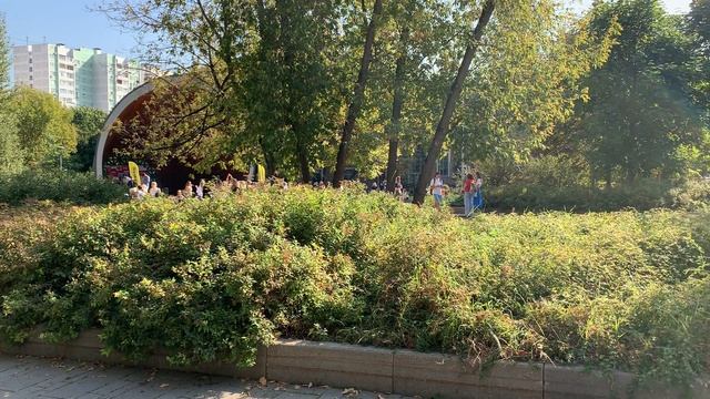 Стрелекая_июнь_2