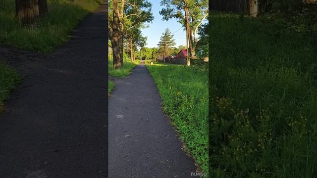 06-06-2025