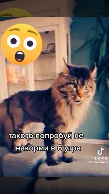 1000099402.mp4